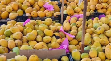 أسعار الفاكهة في سوق العبور اليوم الأربعاء 22-10-2025: تعرف على التغيرات وتأثيرها على المستهلكين